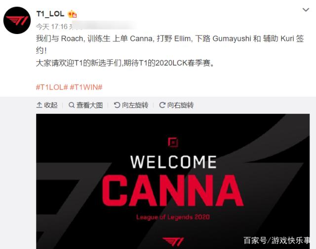 他们往往具 他们往往具